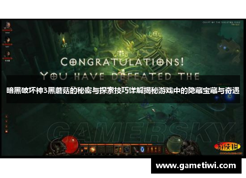 暗黑破坏神3黑蘑菇的秘密与探索技巧详解揭秘游戏中的隐藏宝藏与奇遇